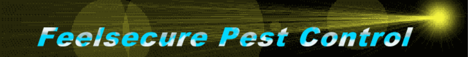 FEELSECURE PEST CONTROL